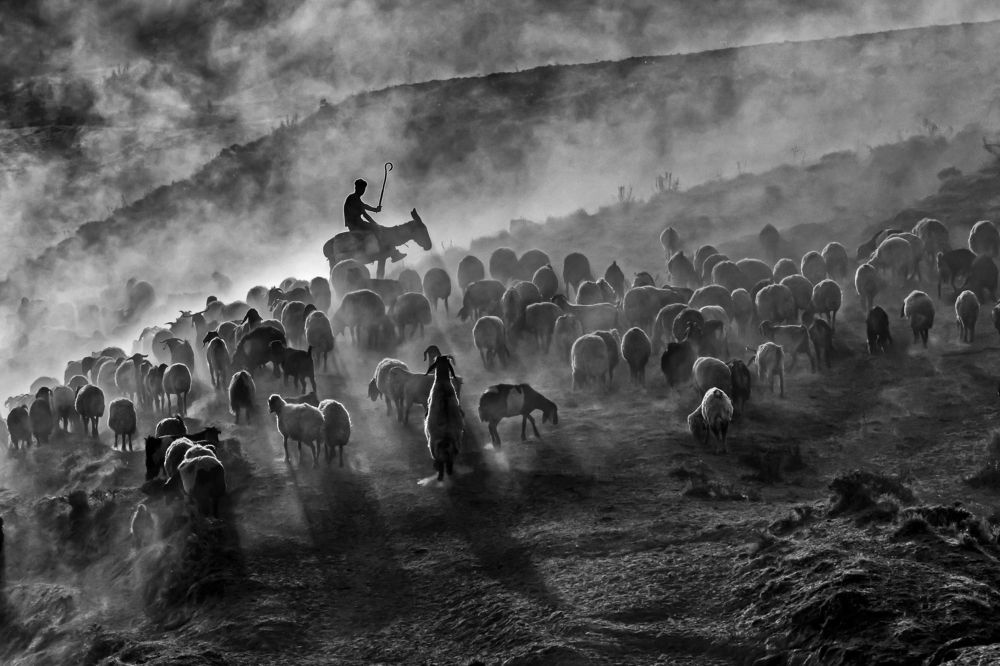 Photograph by Gilcan Mete Delibay