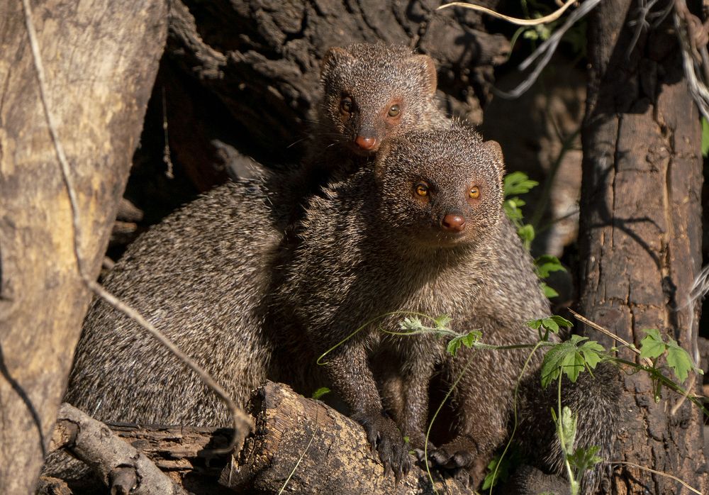 Photograph by Gurvinder Chhabra