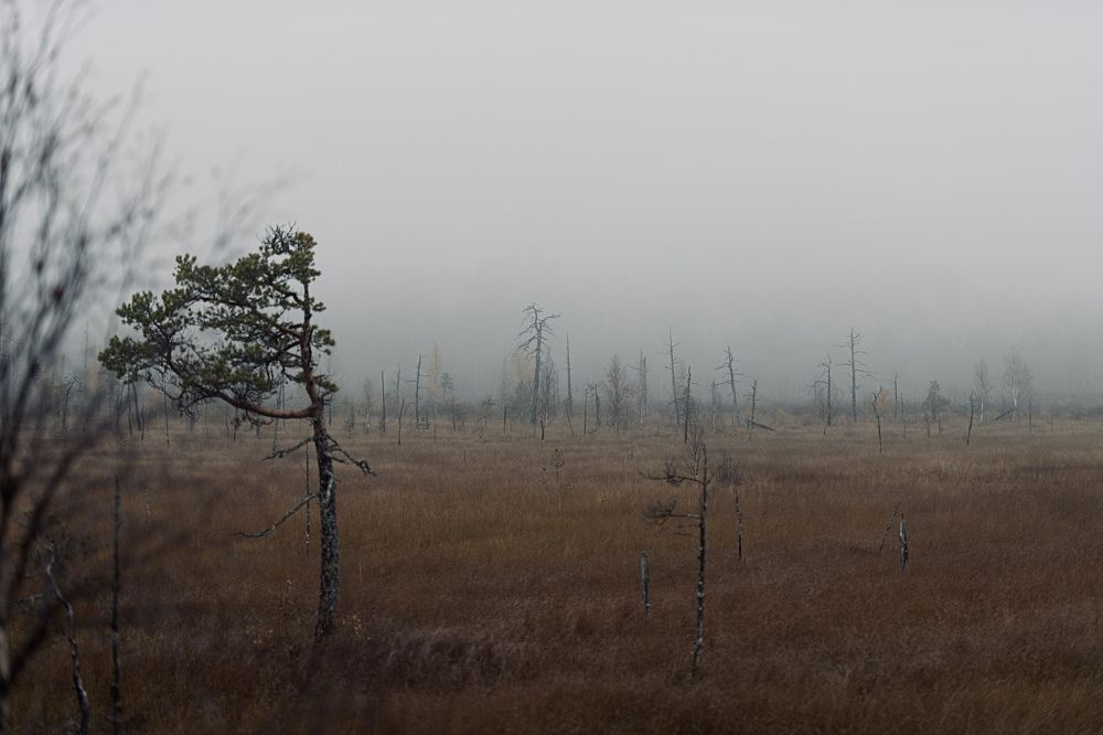 Photograph by Роман Колодяжный