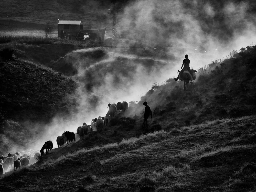 Фотография автора Gilcan Mete Delibay