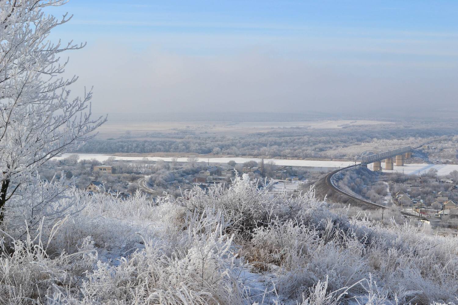 Photo #8720571