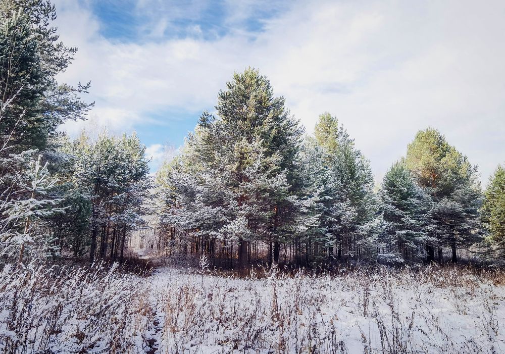 Photograph by Светлана Перминова