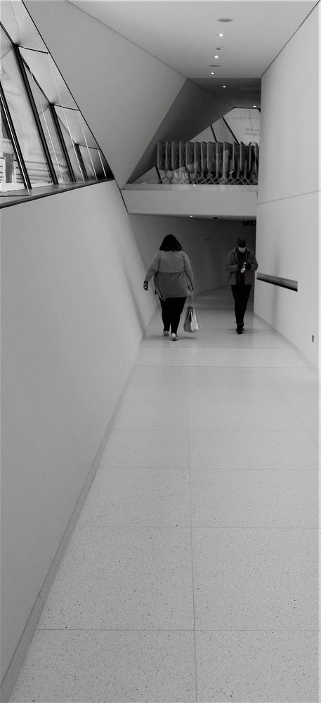 Photograph by Anne Stubbs