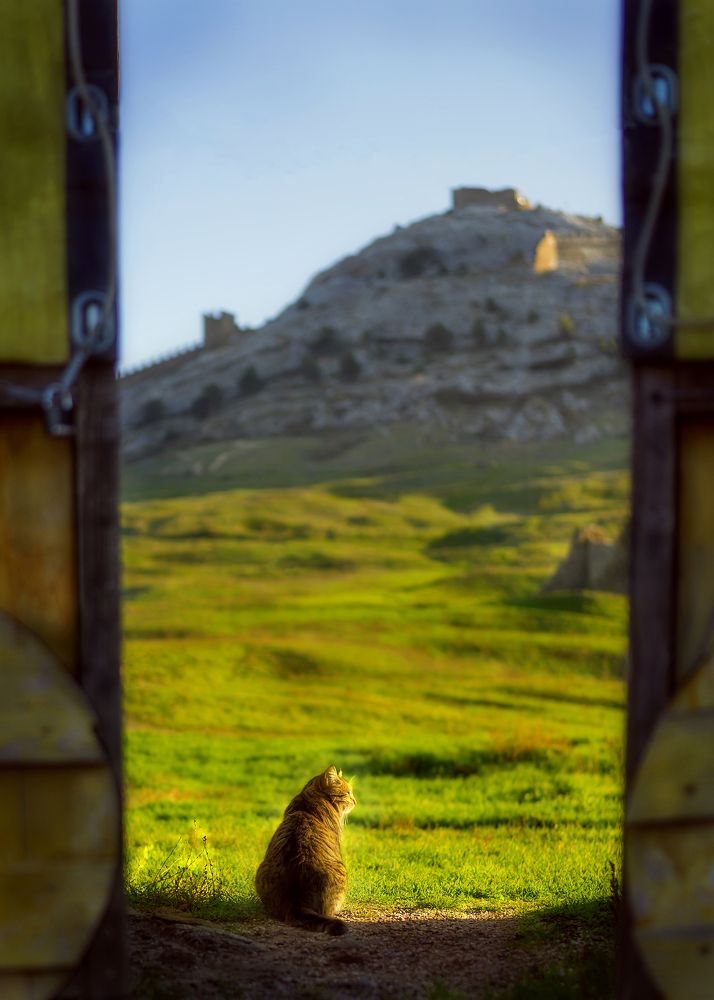 Фотография автора Татьяна Тур