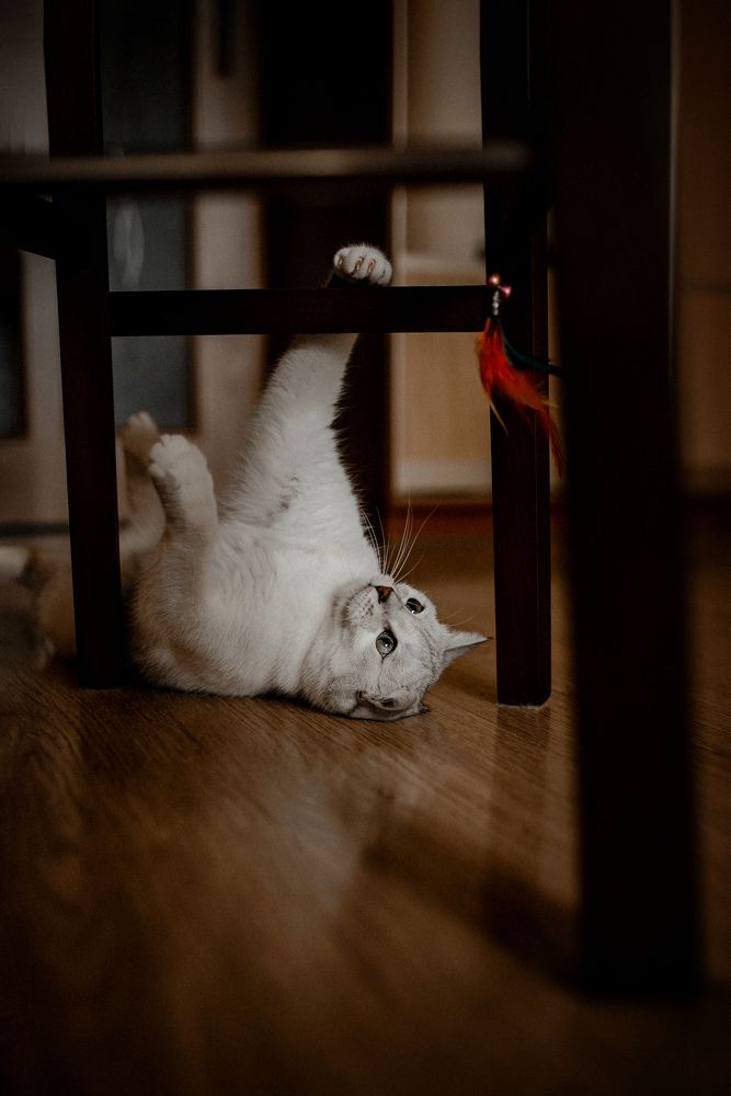 Photograph by Алёна Попова