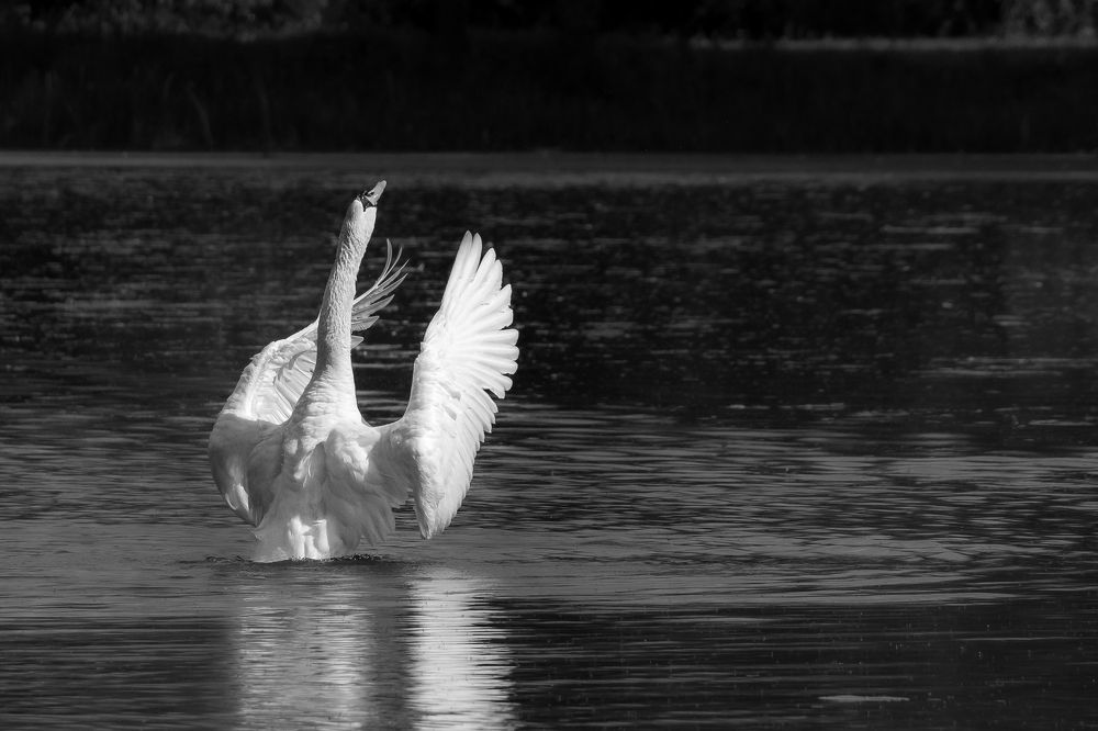 Photograph by Valdis Serzhans