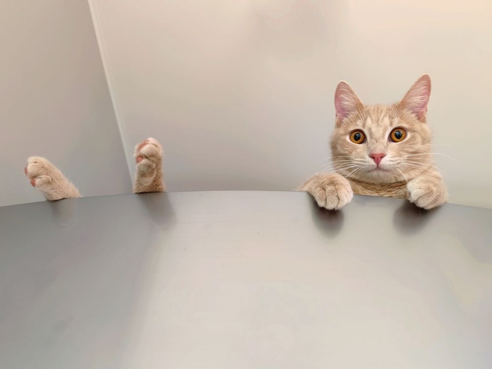 Photograph by Екатерина Харитонова