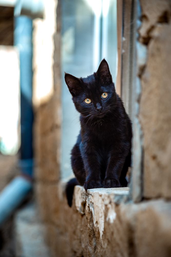 Photograph by Юрий Киреичев