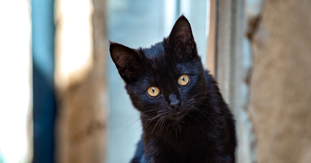 Photograph by Юрий Киреичев