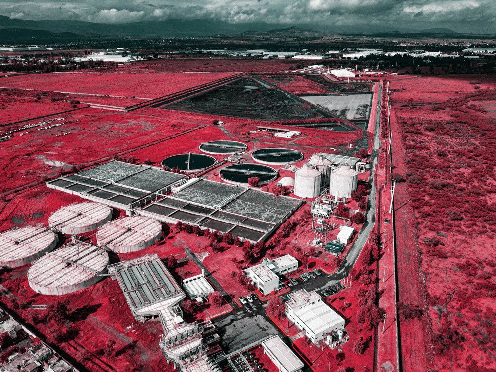 Photograph by Diego Reynoso