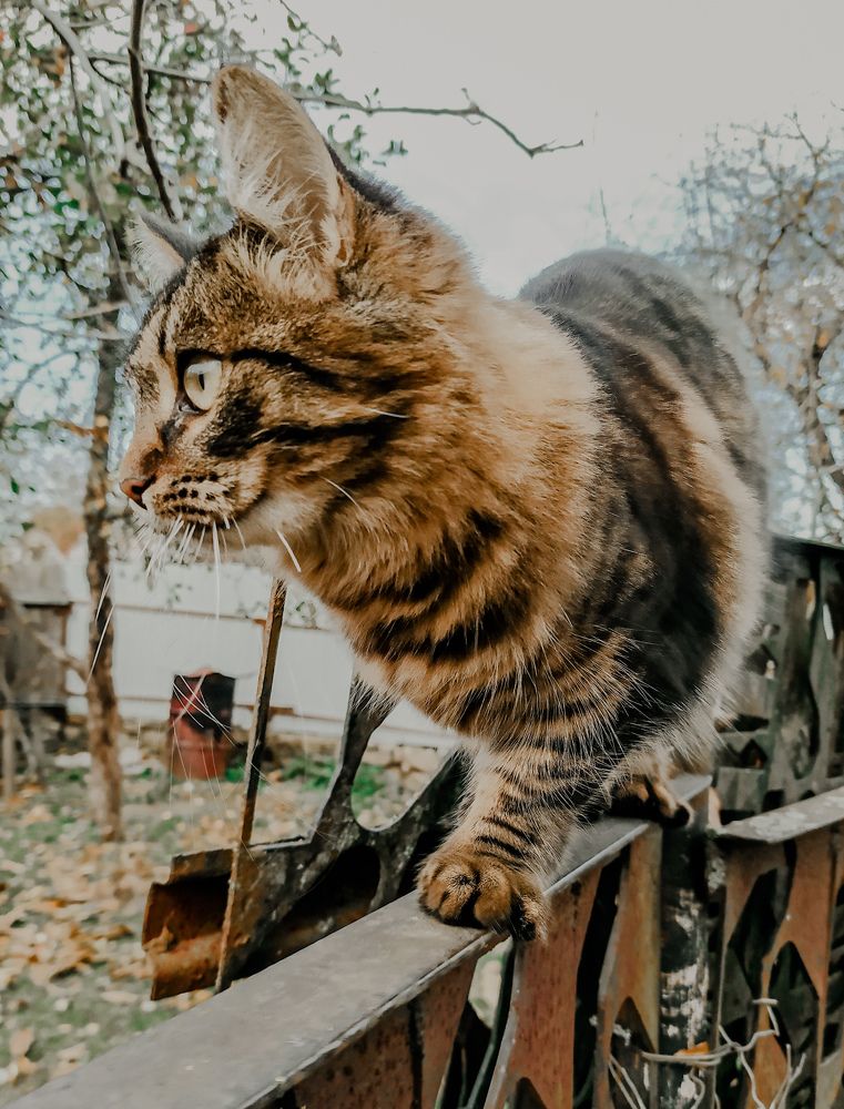 Photograph by Олеся Бронзова