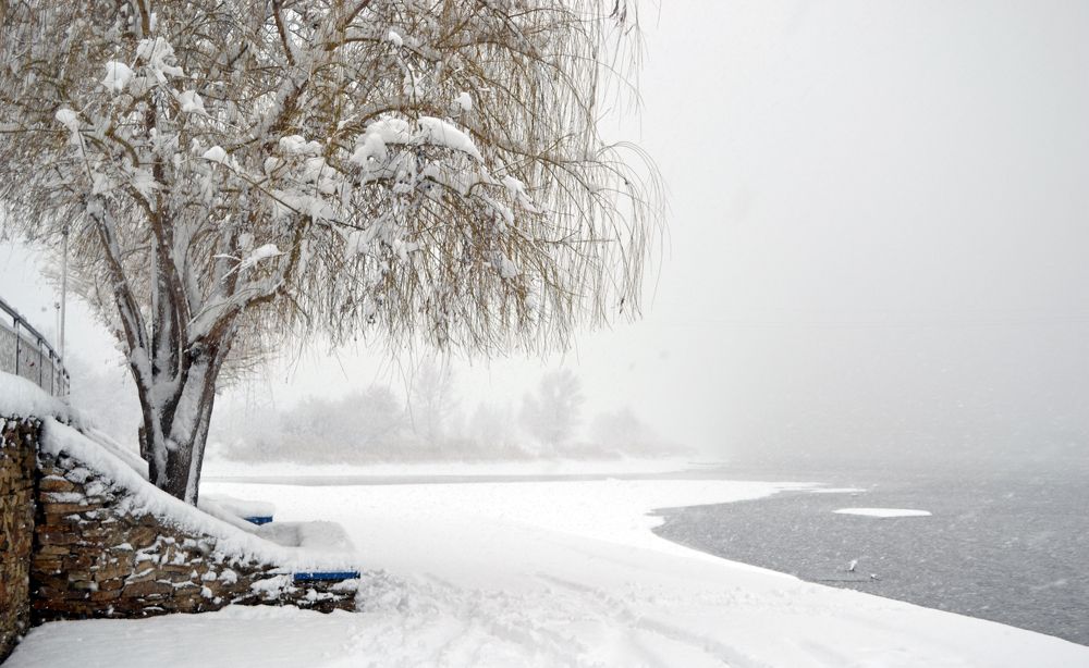 Photograph by Дарья