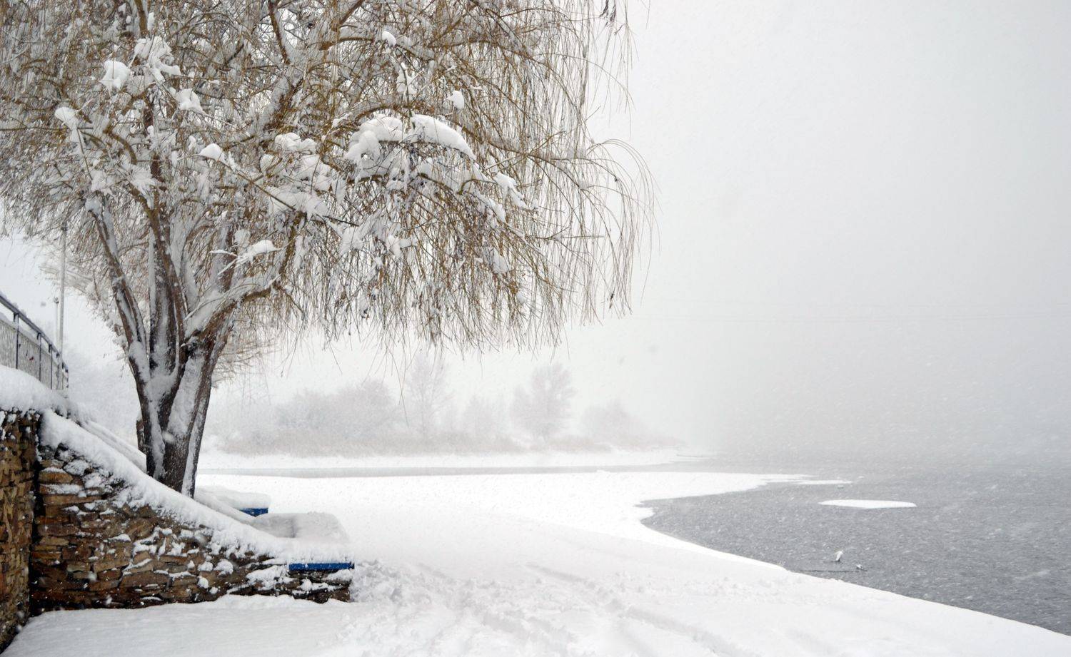 Photo #8720788