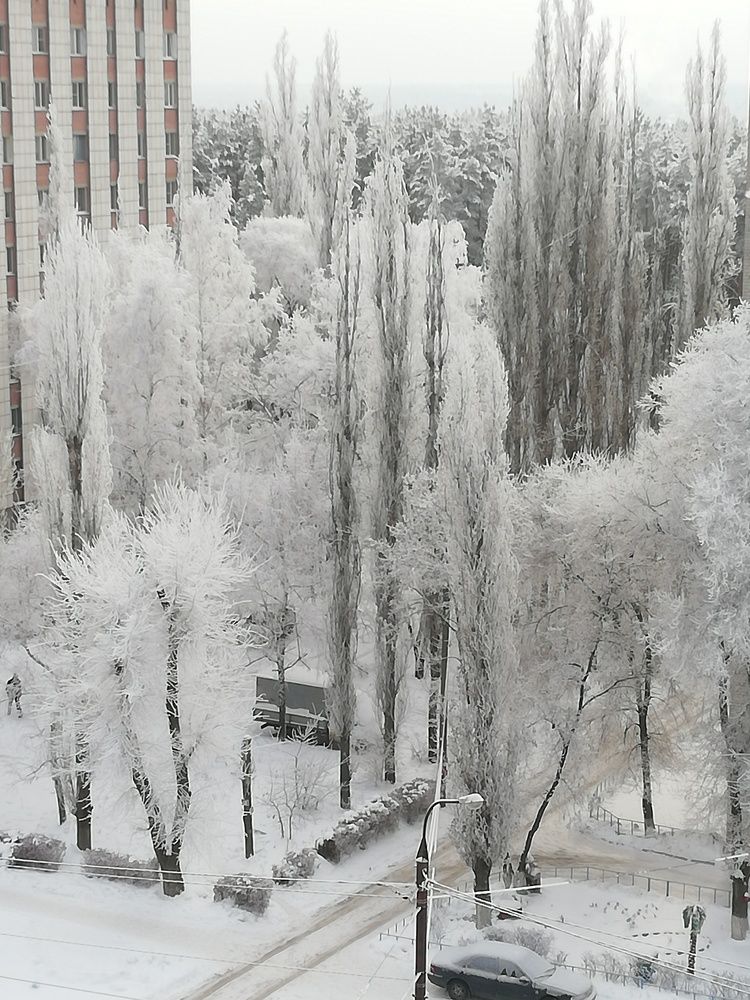 Фотография автора Наталья Гаршина