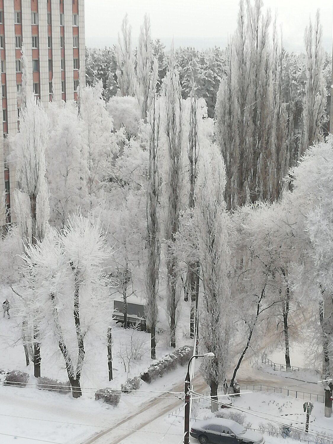 Photo #8720812
