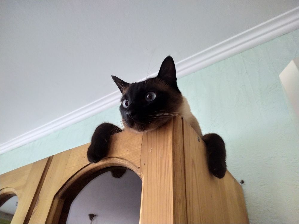 Photograph by Елена Смирнова