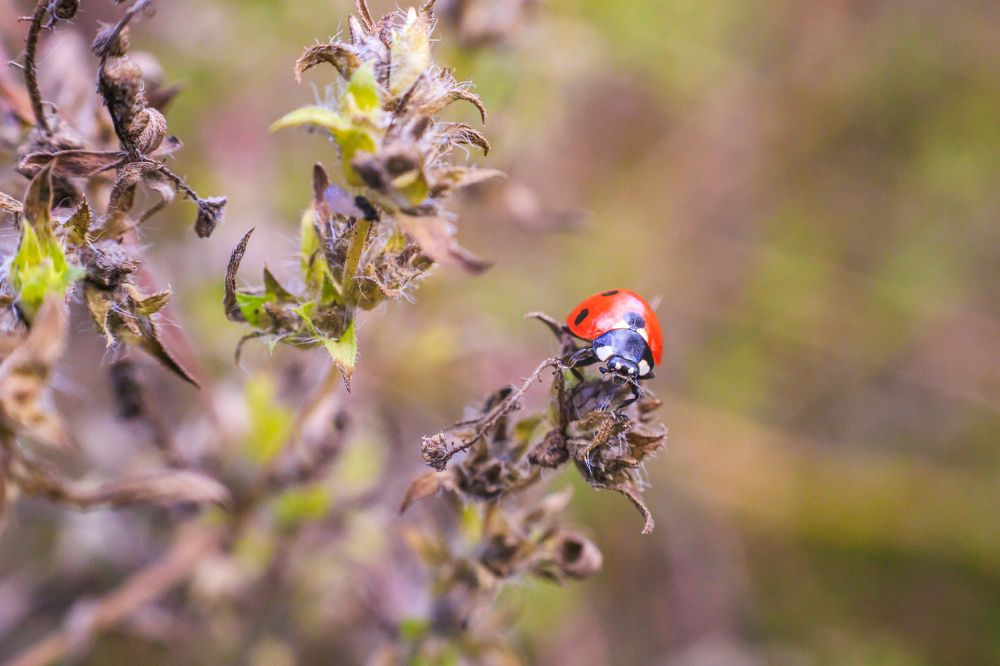 Photograph by Андрей