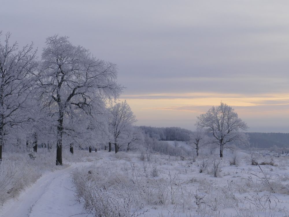 Photograph by Александр Кизим