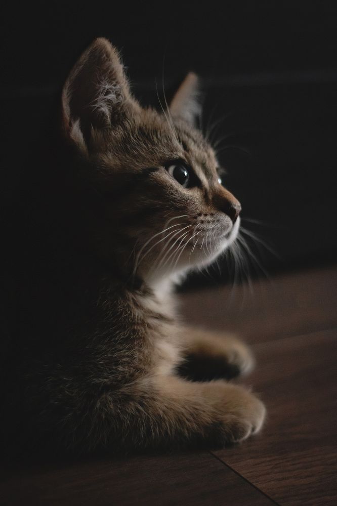 Photograph by Елена Мелихова