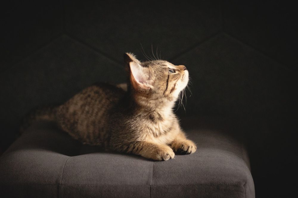 Photograph by Елена Мелихова