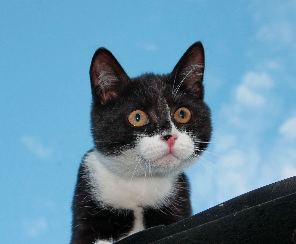 Photograph by Sergei Petrov