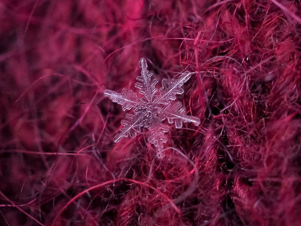 Photograph by Natalia Novikova