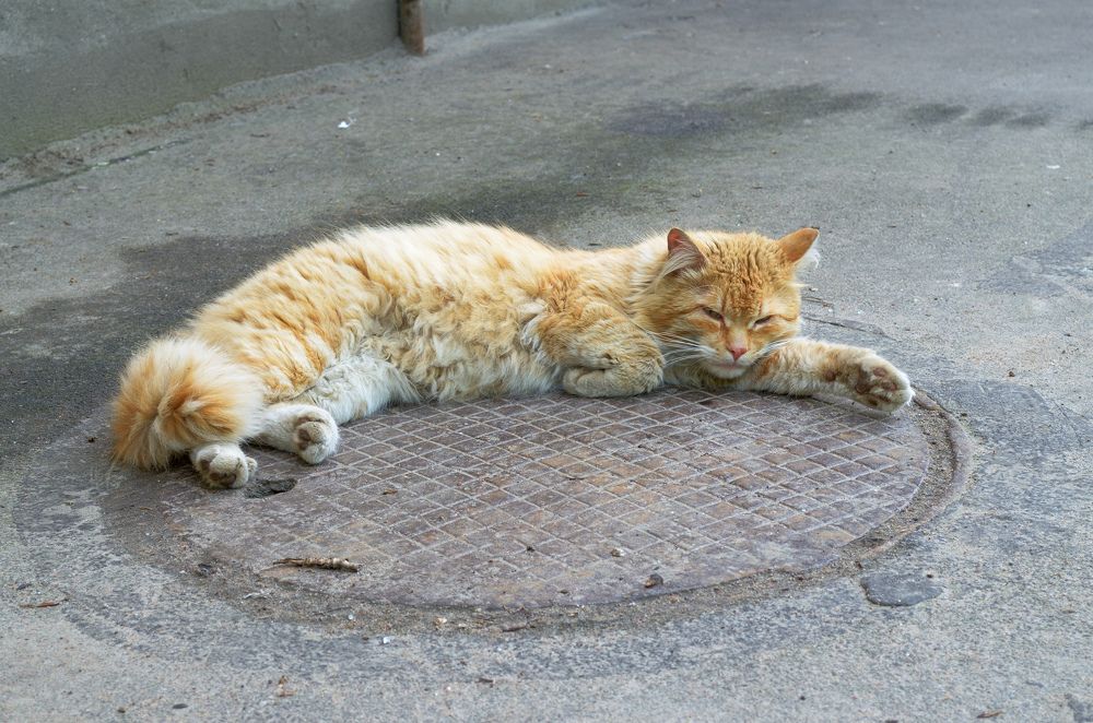 Photograph by Александр Клопков