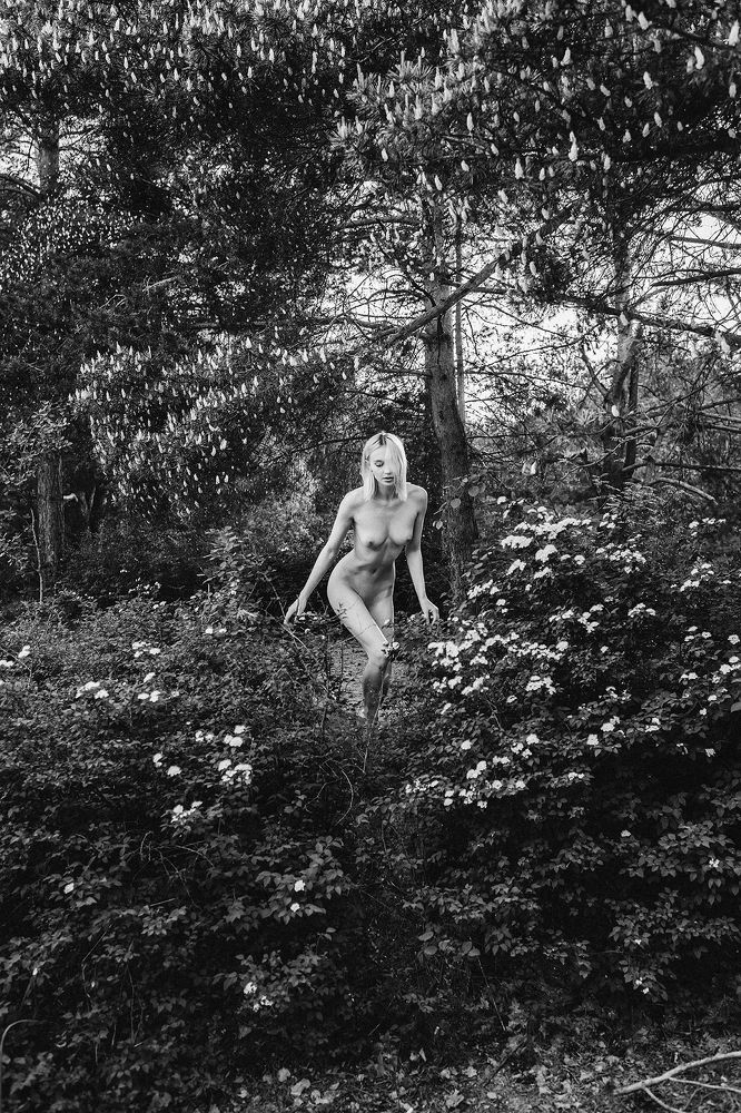 Photograph by Разиль Равилович Миннахметов