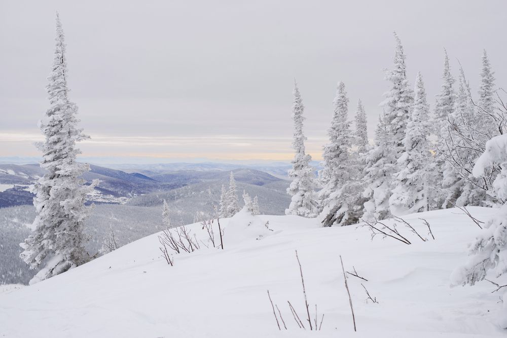 Фотография автора Маргарита Костаганова
