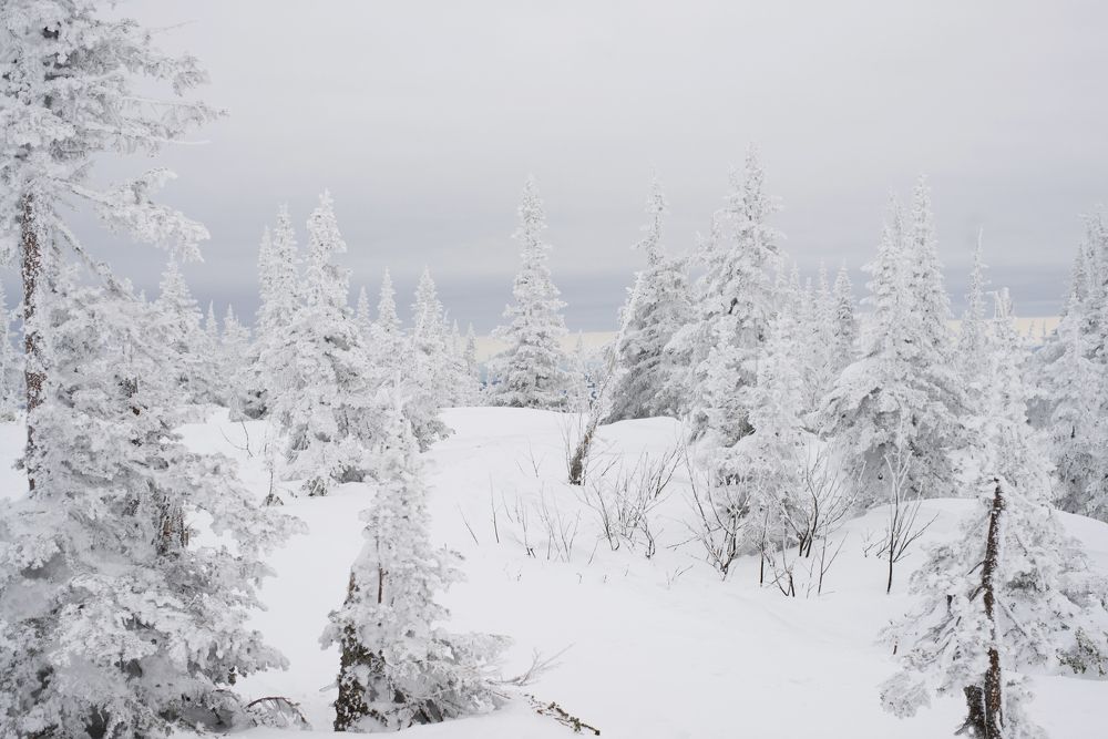 Фотография автора Маргарита Костаганова