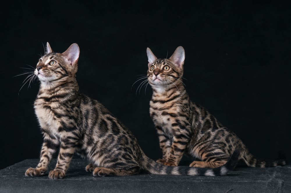 Photograph by Анастасия Щербакова