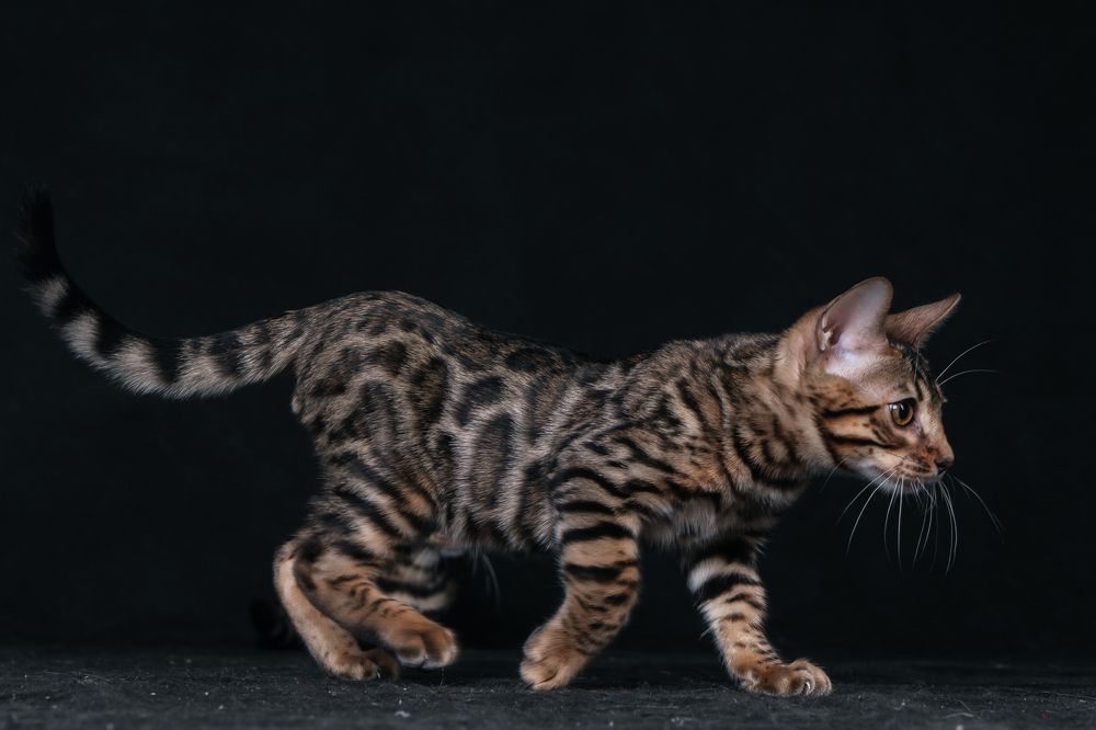 Photograph by Анастасия Щербакова