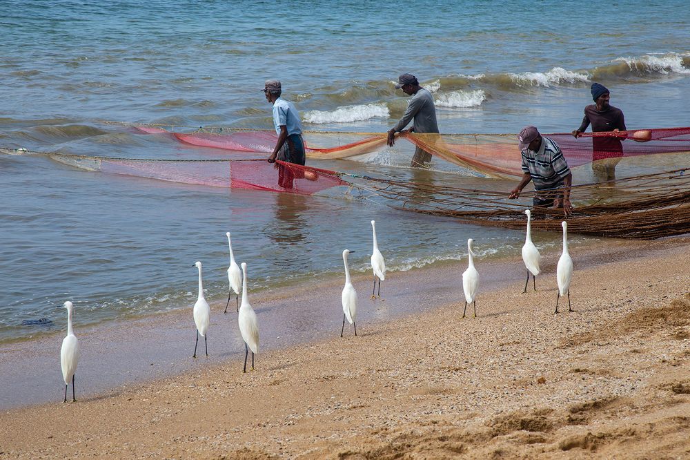 Фотография автора Laddu Sasindu Pramuditha De Silva