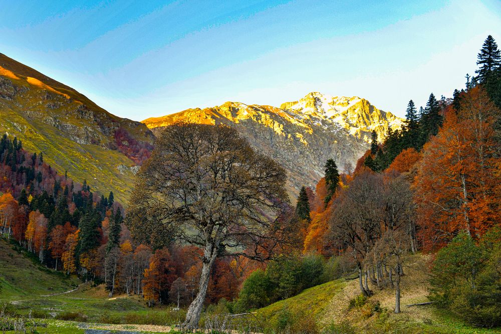 Photograph by Олег Корешонков