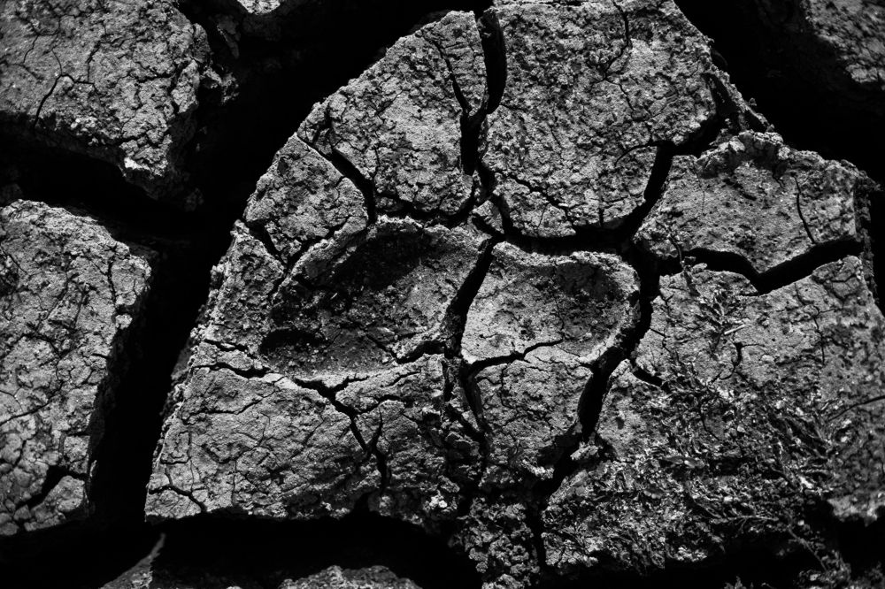 Photograph by Полина Килат