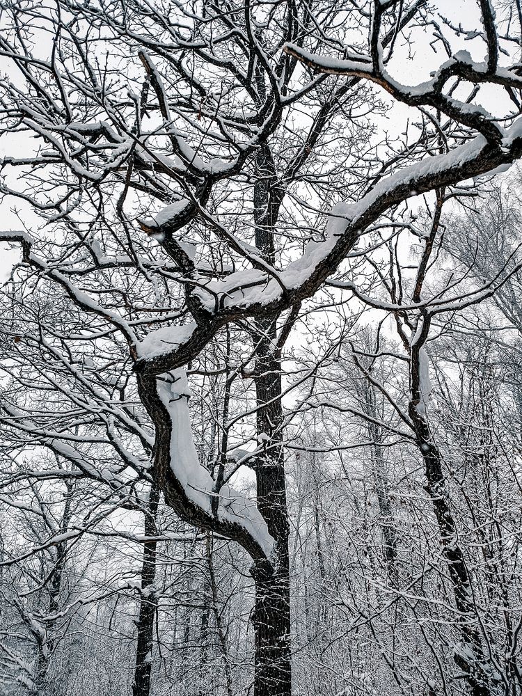 Photograph by Elena Novikova