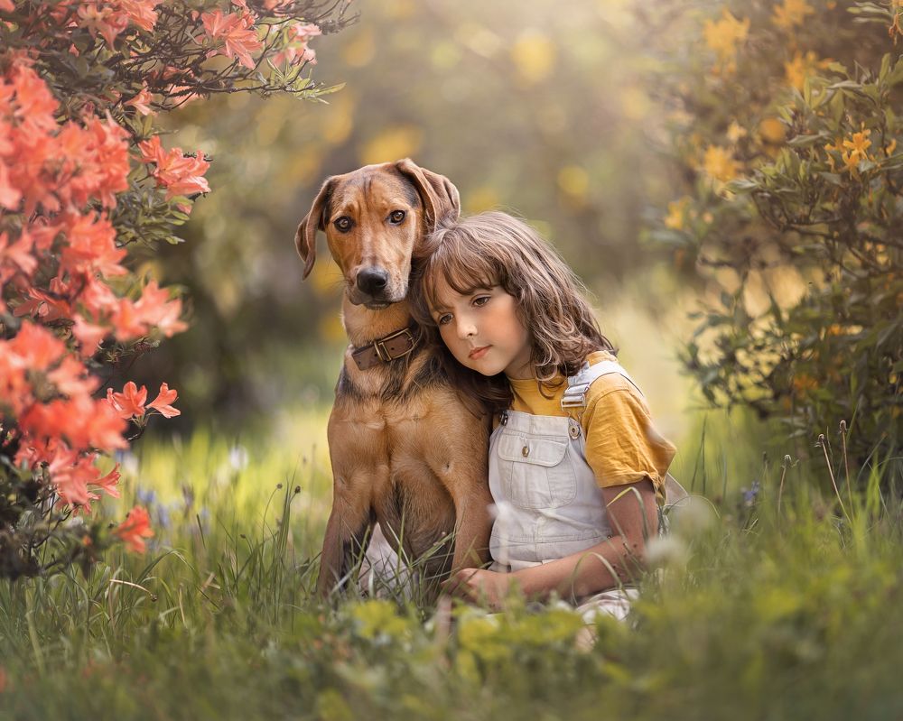 Photograph by Lynne Williams