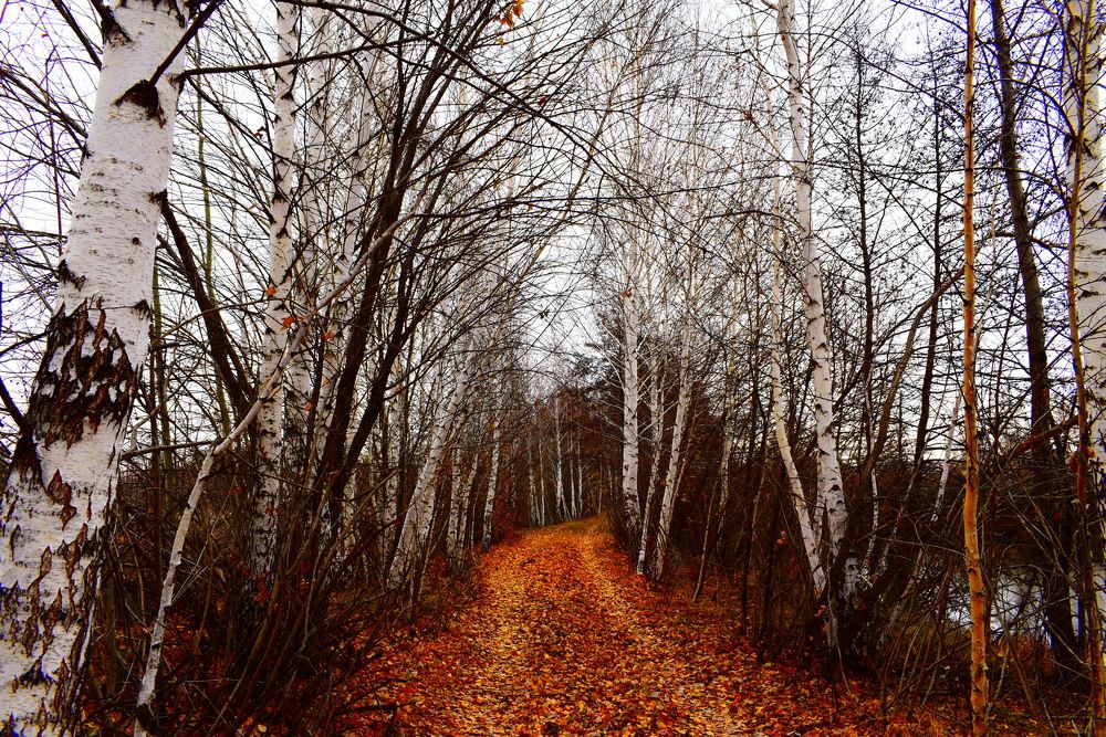 Photograph by Екатерина Скоропадова