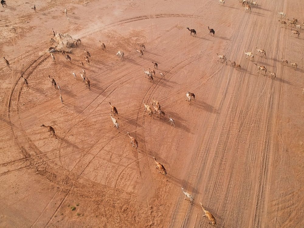 Photograph by MARY GRACE Montives