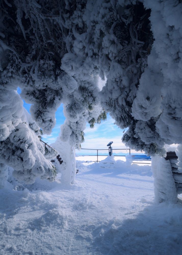 Photograph by Антон