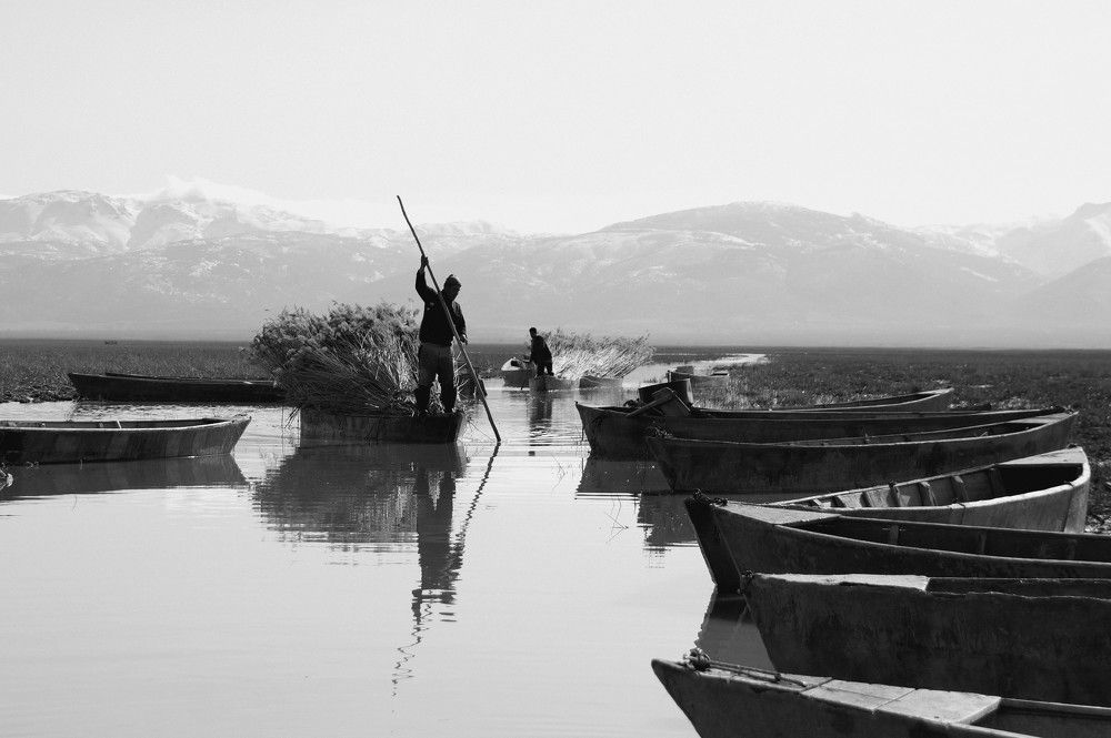 Фотография автора hilmi ayhan