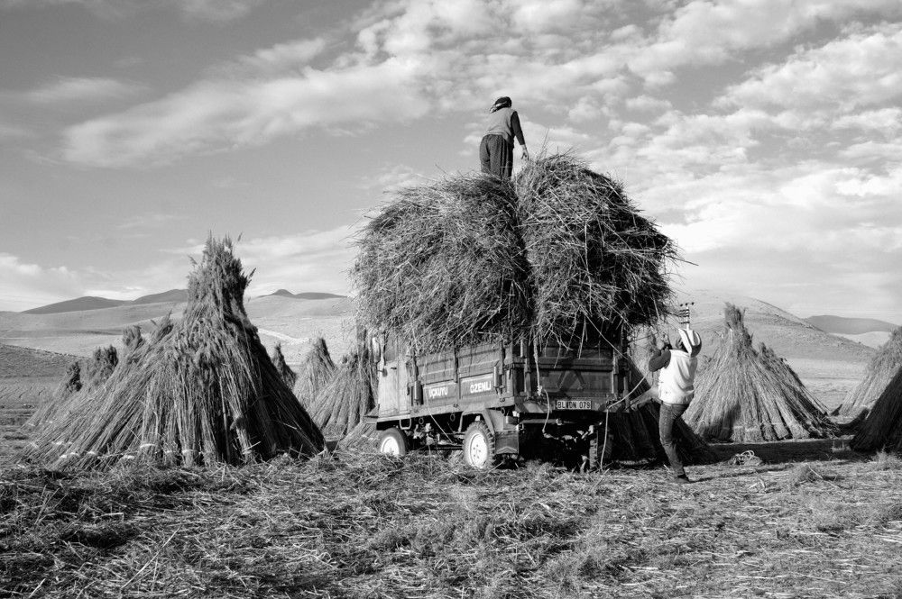 Фотография автора hilmi ayhan