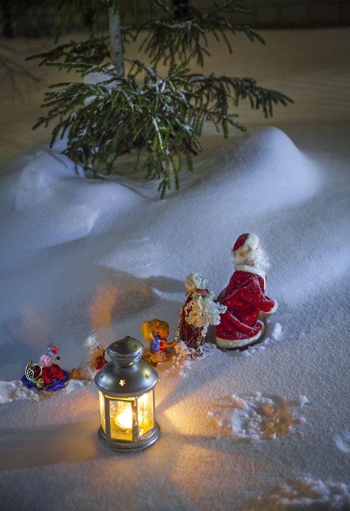 Поход за игрушкой