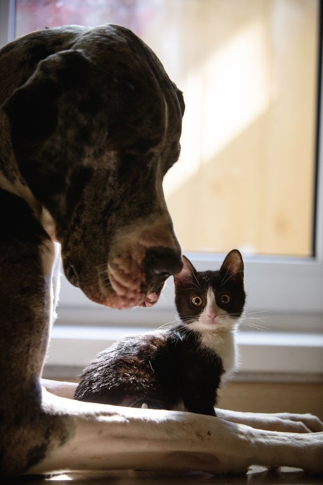 Photograph by Елена Макарова