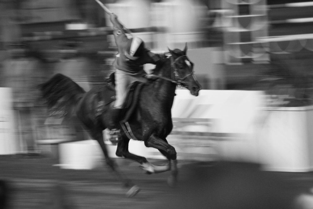 Фотография автора Наталья Липовская