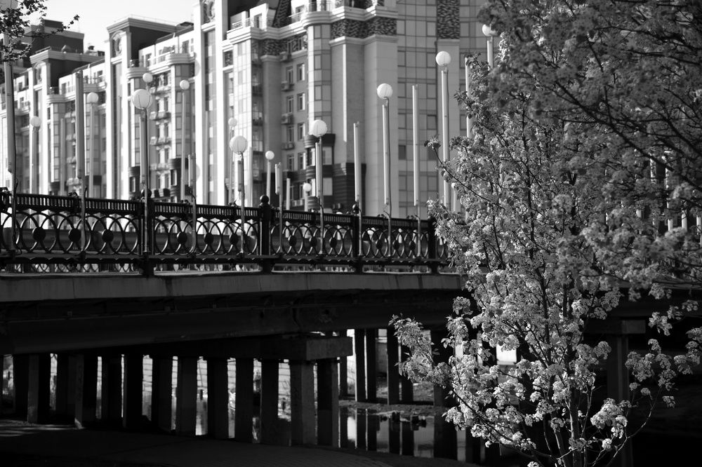 Photograph by Виктория Ганжова