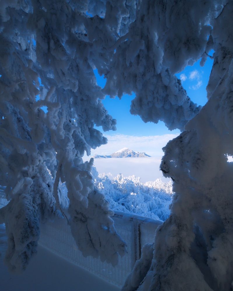 Photograph by Антон