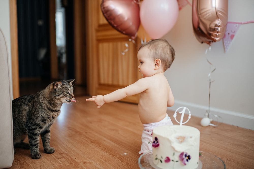 Photograph by Мария Сухалет