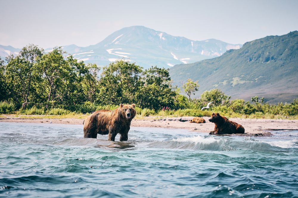 Фотография автора Evgeny Gorbunov