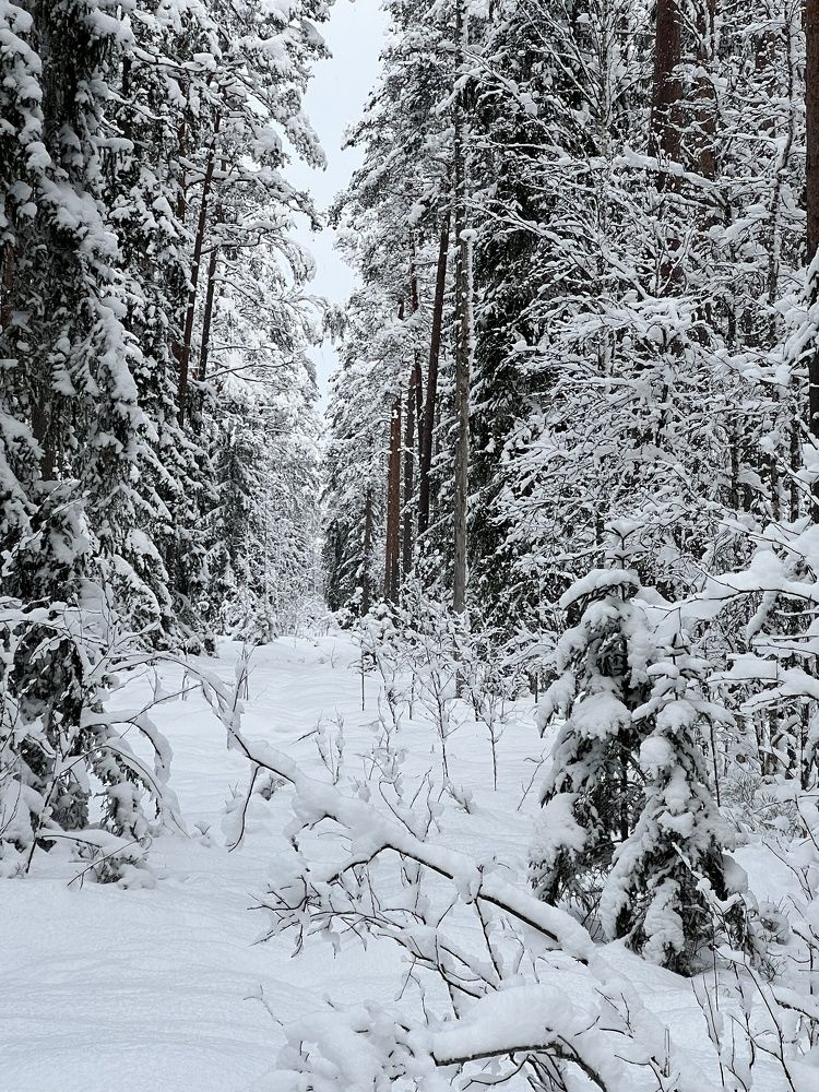 Photograph by Мария Сухалет